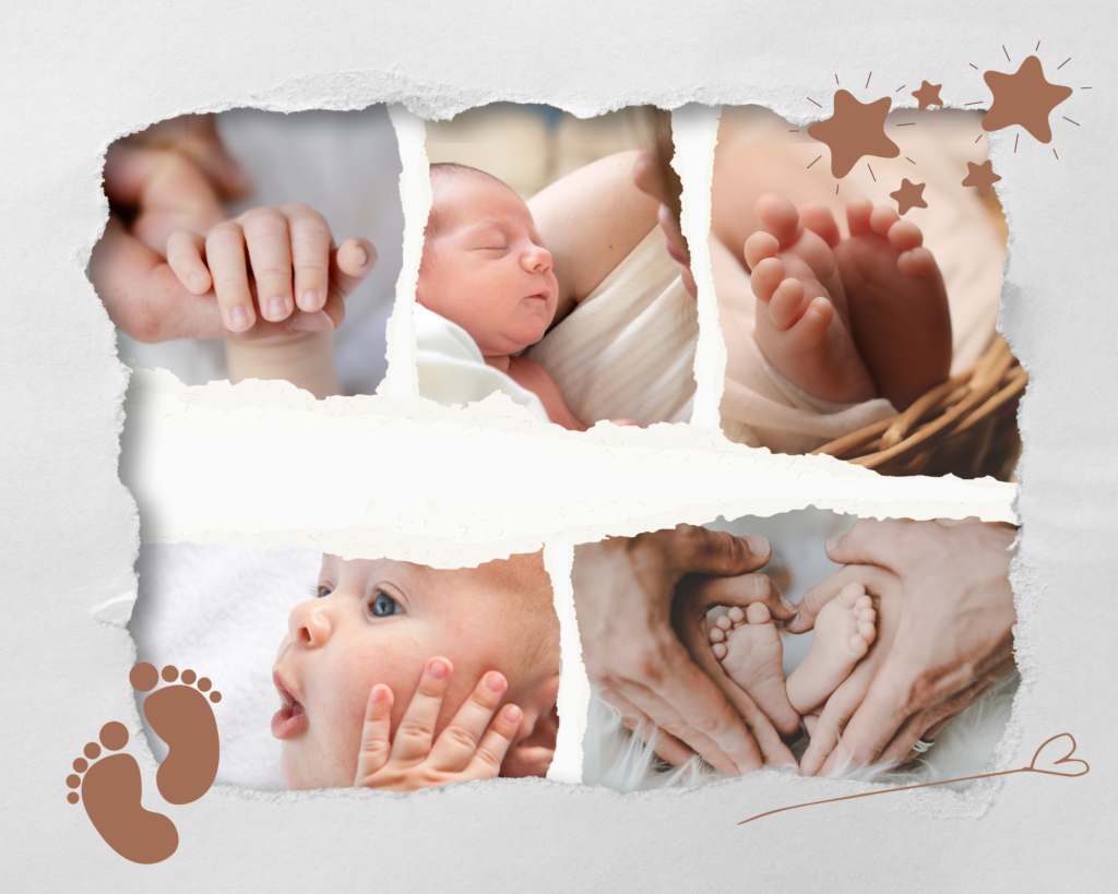 Course 0 12 months